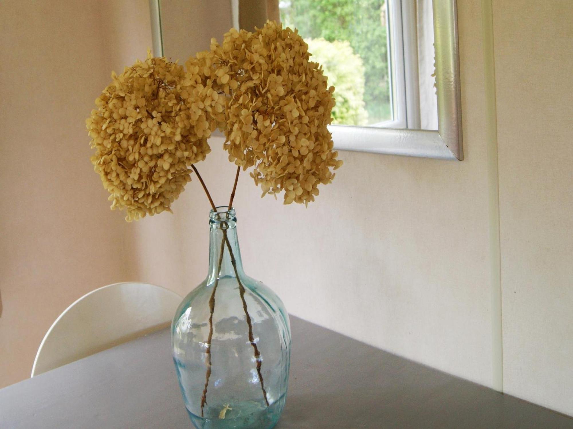 Cosy Holiday Home In Appelscha With Garden Екстер'єр фото